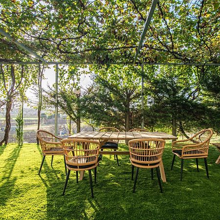 Iviskos Apartment Oinofyta 外观 照片